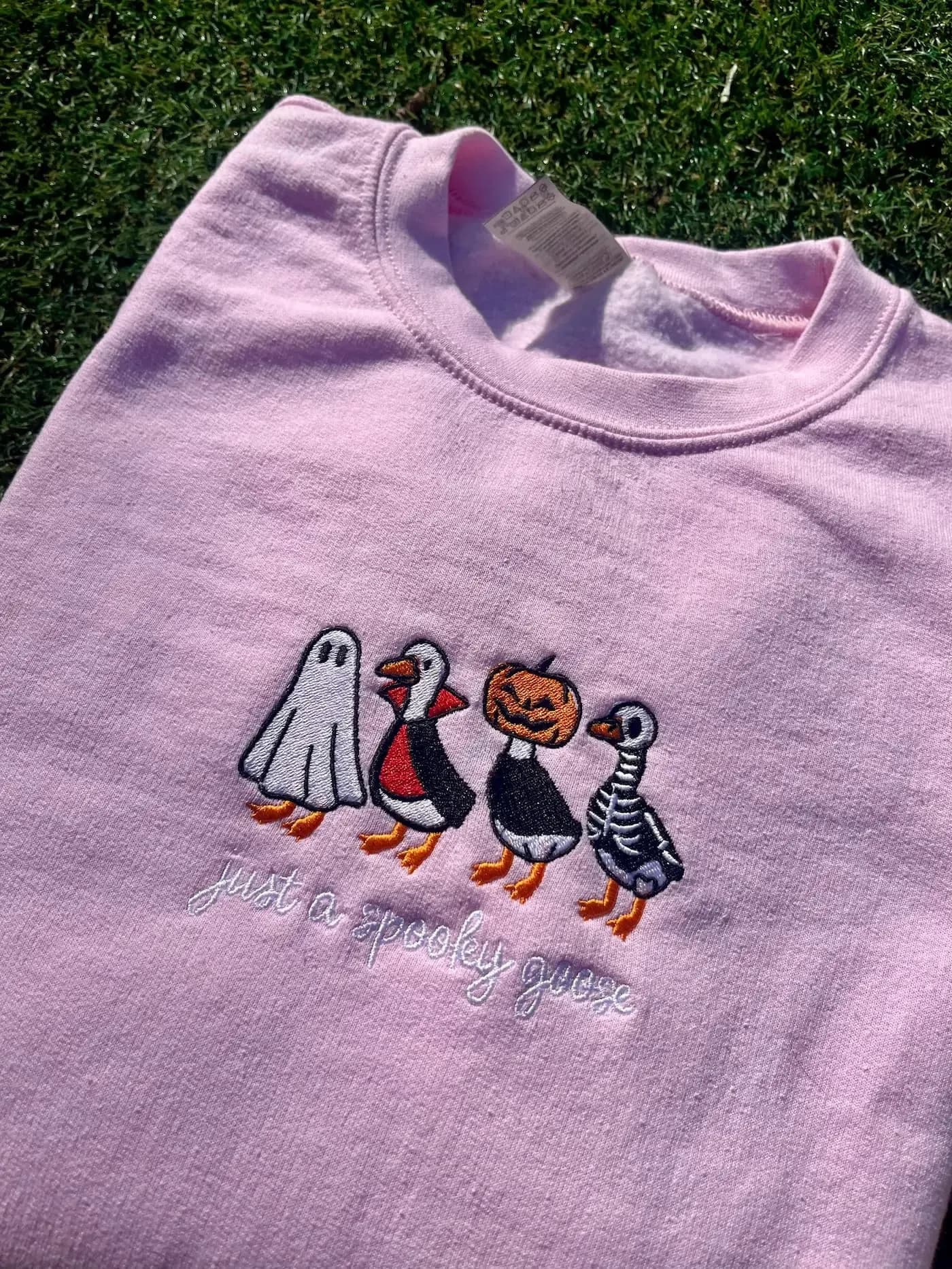 Just a spooky goose